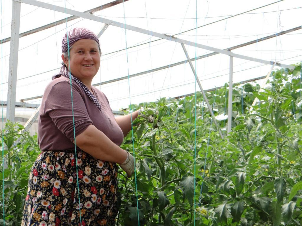 Aygun Pension Τεκίροβα Εξωτερικό φωτογραφία
