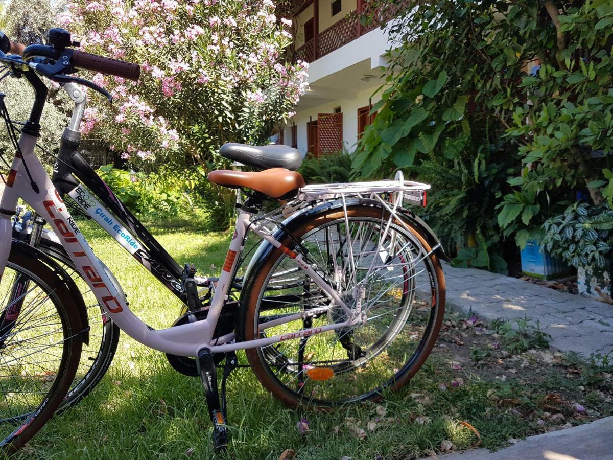 Aygun Pension Τεκίροβα Εξωτερικό φωτογραφία